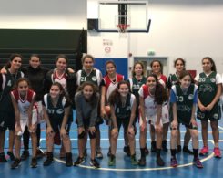 match-basket-cpf-vs-ic