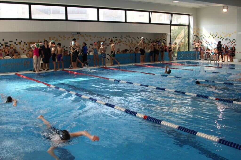 natation (3)